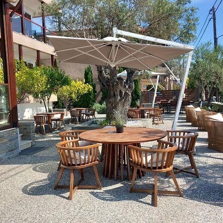 Ayia Marina Suites Уранополис Экстерьер фото